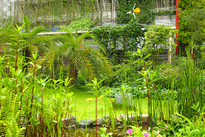 GIGABYTE、台湾本社ビルに「地球に優しいエコ屋上庭園」を構築