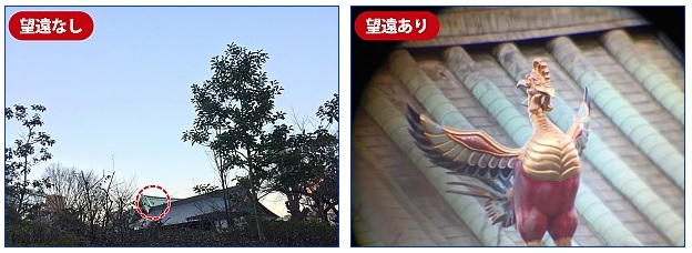 80倍の超望遠機能により、100m先の被写体をハッキリと撮影できる