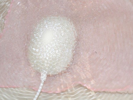出張族必携。汚れ物が手軽に洗濯できる、どこでもUSB洗濯機「ウォッシュブル」がサンコーから