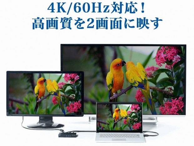 4K/60Hzの高画質映像を2画面出力できるHDMI分配器、サンワダイレクト「400-VGA013」