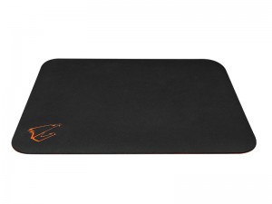 AMP300_800x600a