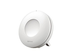bfo_1_s-wem_300x225