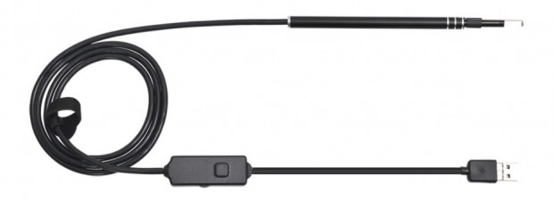 USBEARCM_932x340