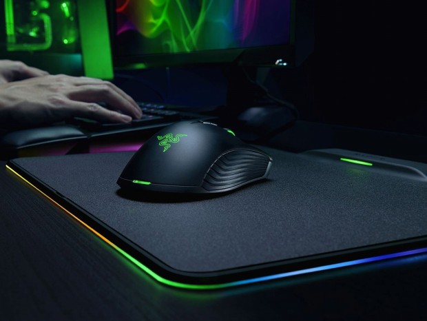 Mamba_Firefly_1024x768c