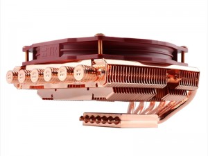AXP-100cu_800x600b