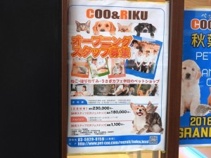 20180923_akiba_1024x768d