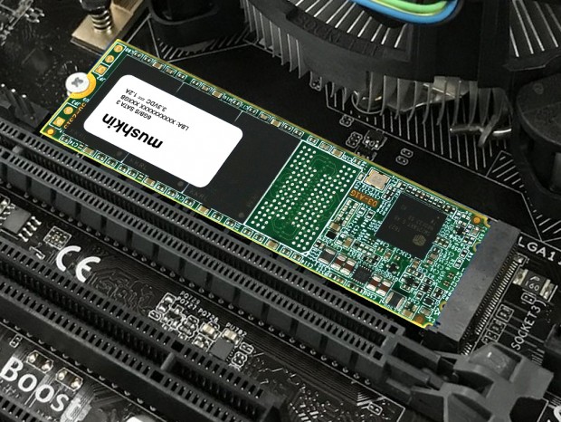 Mushkin、DRAMキャッシュレスのM.2 SSD「SOURCE M.2」シリーズ