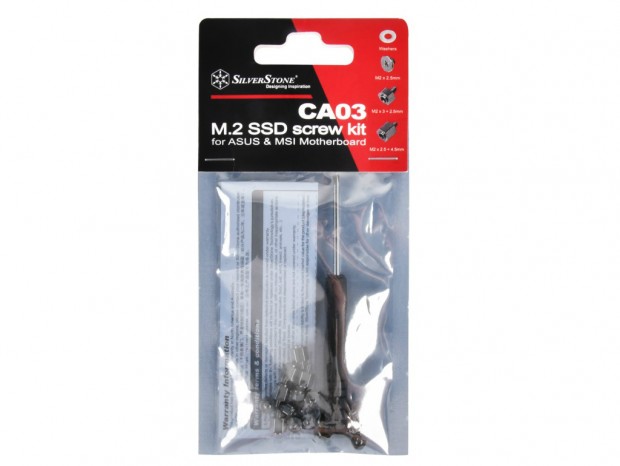 待っていた人も多い？M.2 SSD用のネジセット「CA03」がSilverStoneから