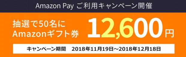 amazonpay1119_970x300