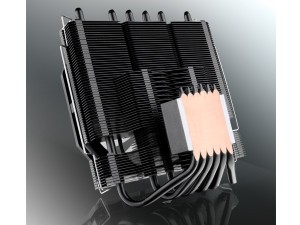 pallas120rgb_600x450b