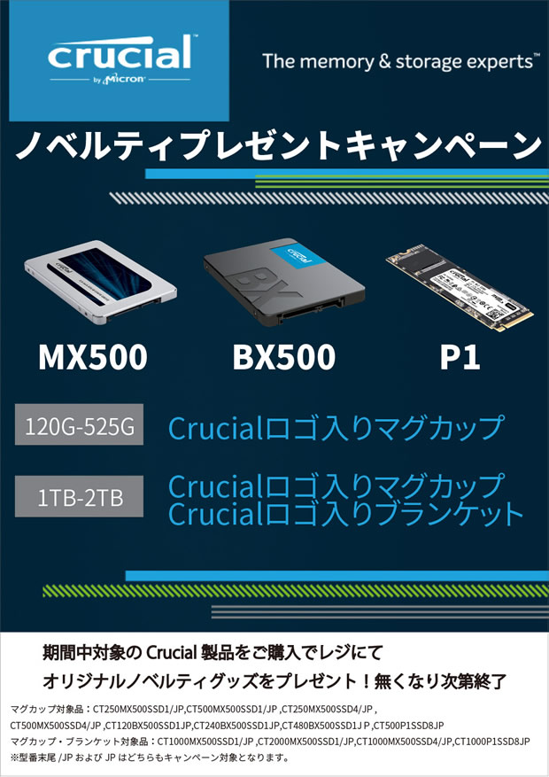 crucialcamp_620x877