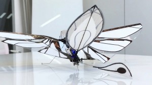 MetaFly_1024x576b