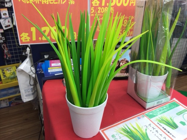 35本ってwwwwwww。上海問屋「デスクトップ草」発売