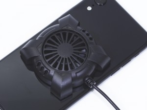 DN-915792_800x600c