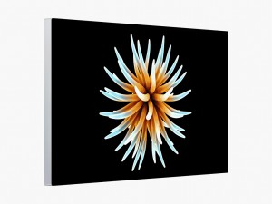 Pro-Display_XDR1024x768a
