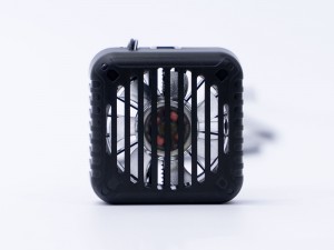 DN-915826_800x600c