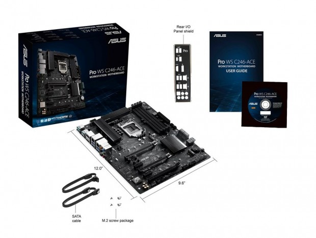C246-ACE_1000x750c