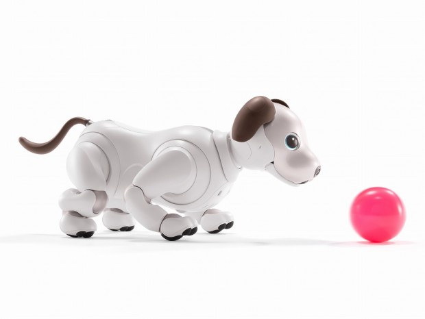 ソニー、ペットロボ「aibo」のレンタルを開始。7泊8日15,000円から