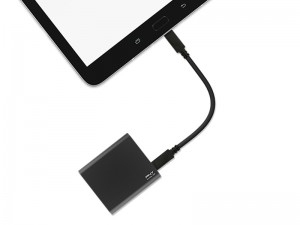 Proelite_800x600c
