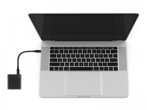 Proelite_800x600d