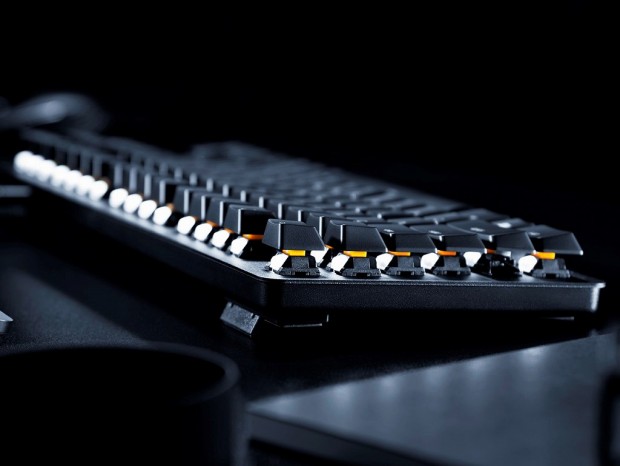 Razer、オレンジ軸採用の静音テンキーレスキーボード「BlackWidow Lite」来週発売