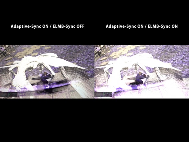 ELMB-Sync_1_1024x768