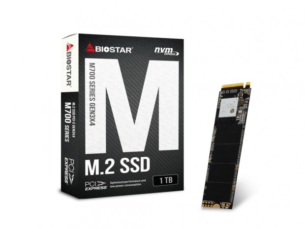 BIOSTARのNVMe M.2 SSD「M700」に1TBモデル追加