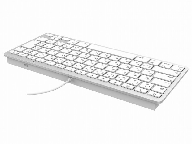 iPad専用ケース付きのLightningコネクタ専用 日本語かな印字キーボード