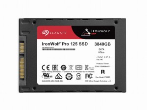 ironwolf-pro-125_1024x768a