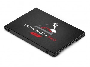 ironwolf-pro-125_1024x768b