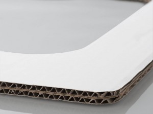 PSI-PTCB01WH_800x60b