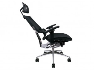 GGC-EG5-BBLFDM-01_1024x768b