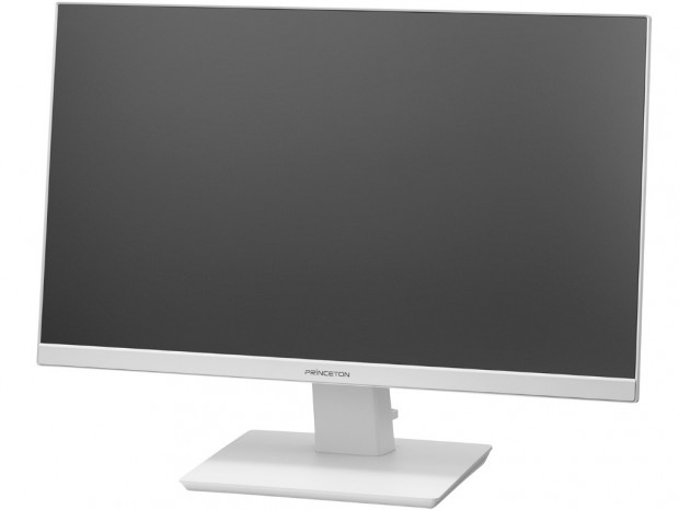 4系統の入力を備えた23.8型広視野角フルHD液晶がプリンストンから