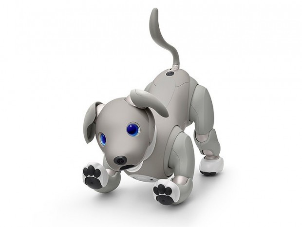 ソニー、自立型ロボット「aibo」の2021年特別カラー“黒ごまエディション”発売