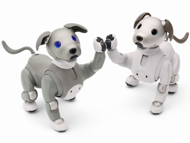 ソニー、自立型ロボット「aibo」の2021年特別カラー“黒ごま 