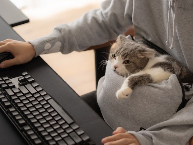 猫と一緒にゲームできる“猫専用ポケット”付きパーカー「にゃんガルーパーカー2」が登場