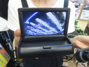 220818rare_1024x768d