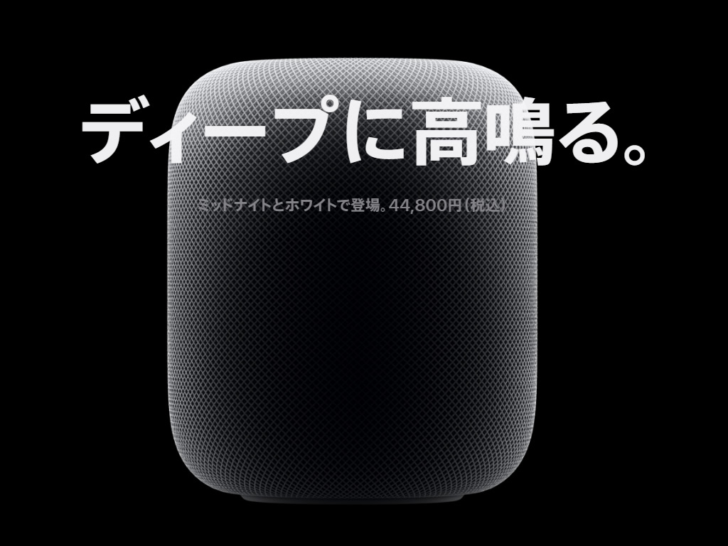 シャーモン様専用 HOMEPOD 第二世代 2個-