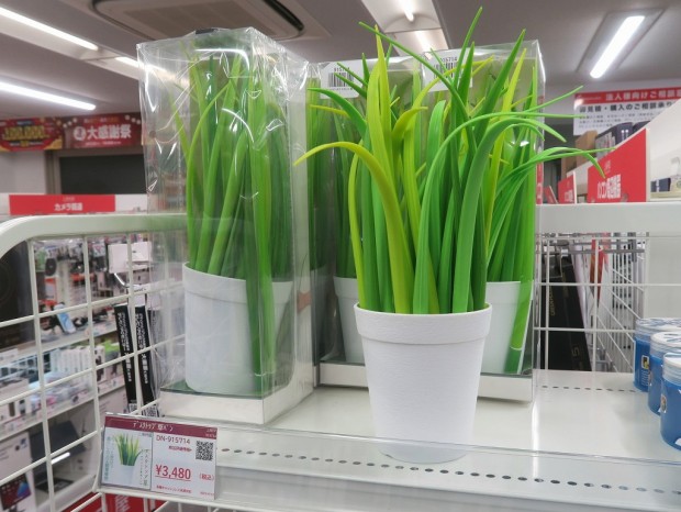 デスクトップ草