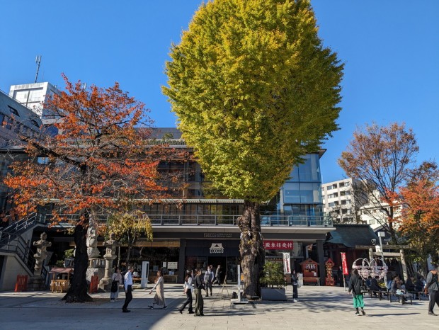 秋葉原の紅葉（2023年）