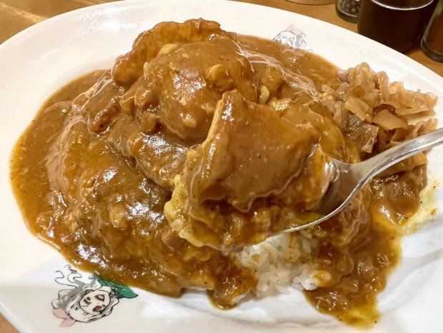 日乃屋カレー 秋葉原店