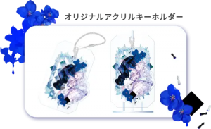 藤ちょこコラボレーションモデル