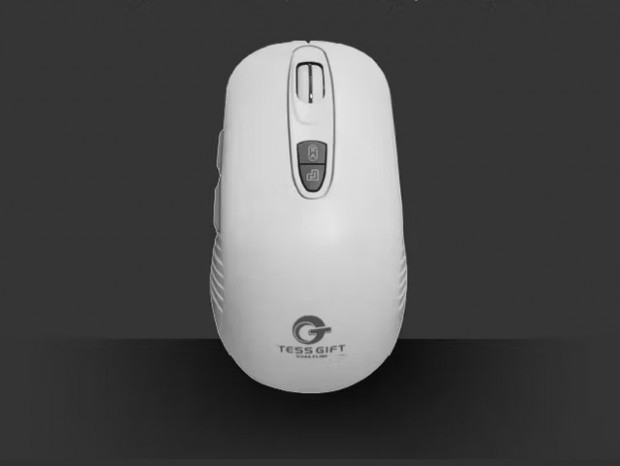 TESS GIFT AI ライティングマウス