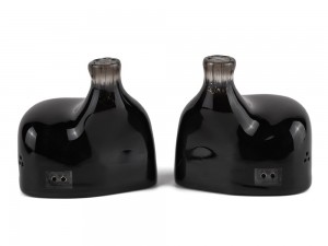 RAVEN Launch Edition