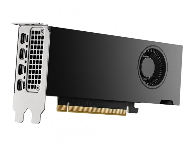 ロープロファイル対応のプロ向けVGA「NVIDIA RTX 2000 Ada世代」が