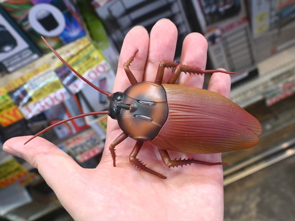 goki_tentou_01.jpg
