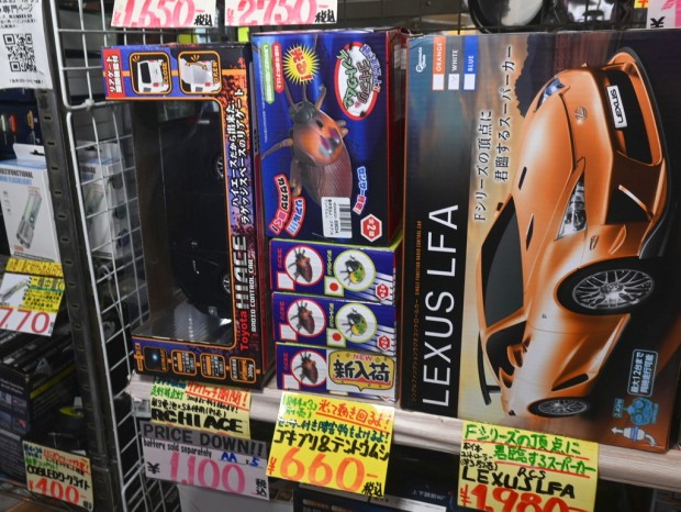 動き回るよ！ゴキブリ＆テントウムシ