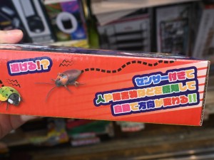 動き回るよ！ゴキブリ＆テントウムシ