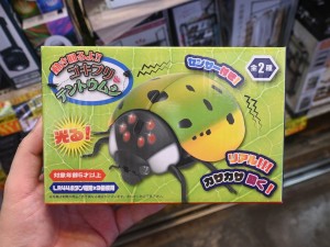 動き回るよ！ゴキブリ＆テントウムシ