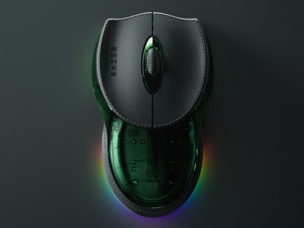 Boomslang 20th Anniversary Edition